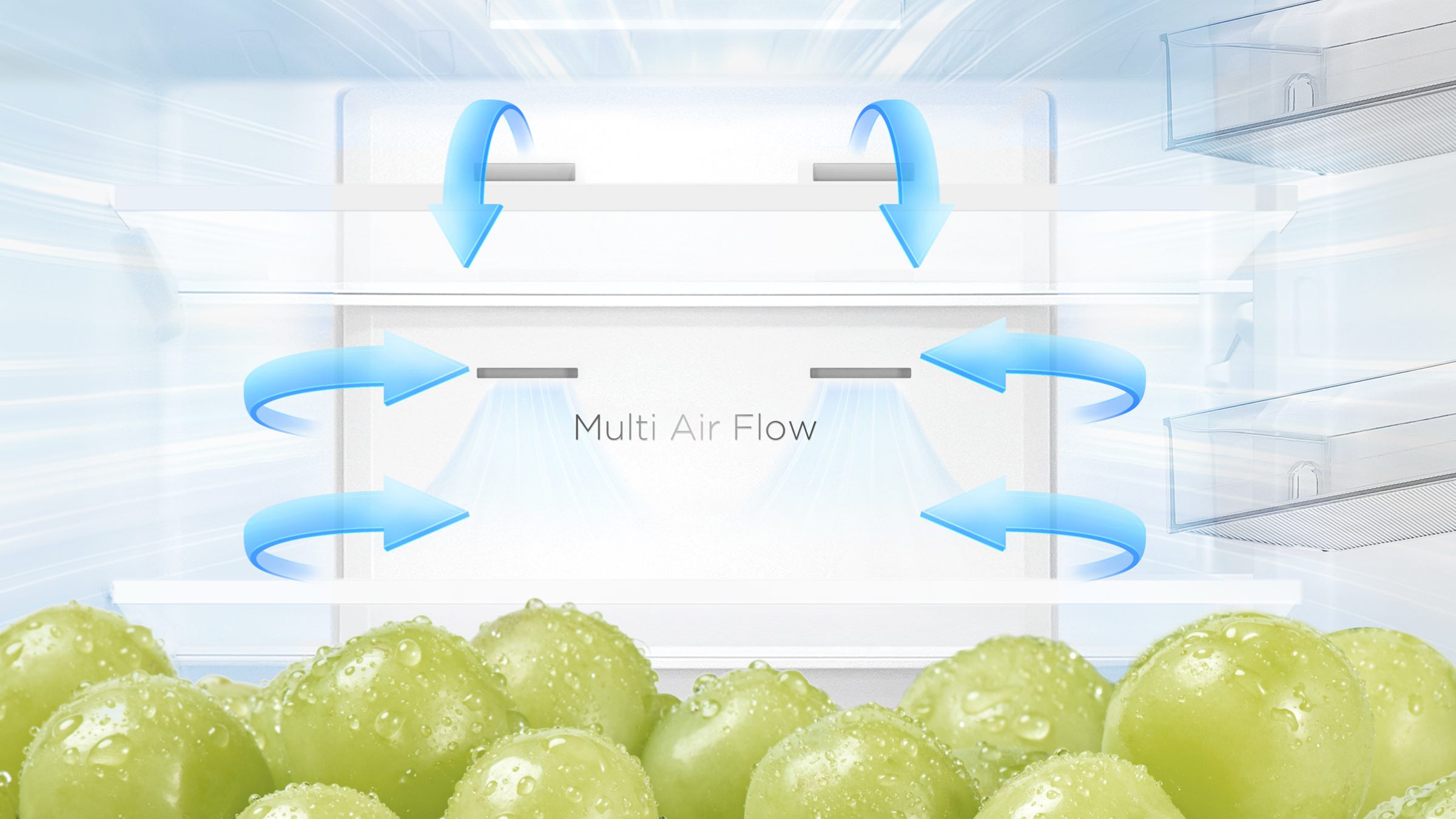 TCL P409BF Refrigerator Electronic Control