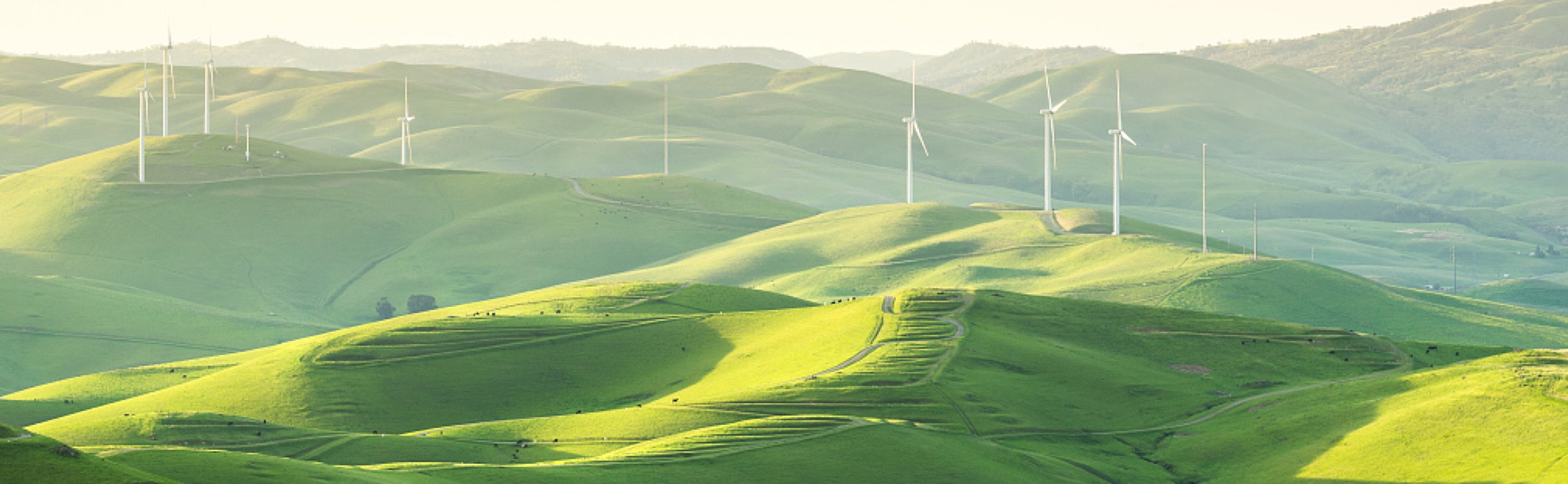 POWERFUL PERFORMANCE.