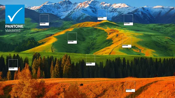 TCL 27R83U Monitor PANTONE Validated