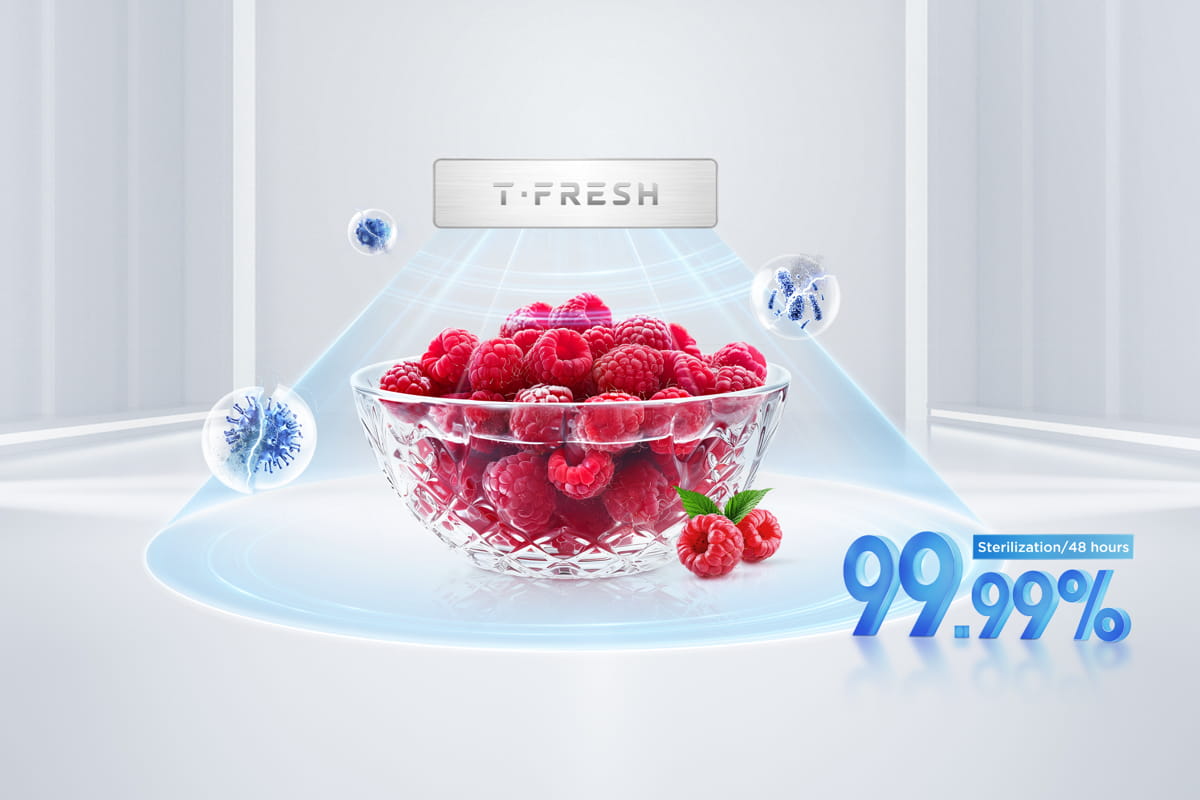 TCL C387BF Refrigerator Keep Fresh Longer