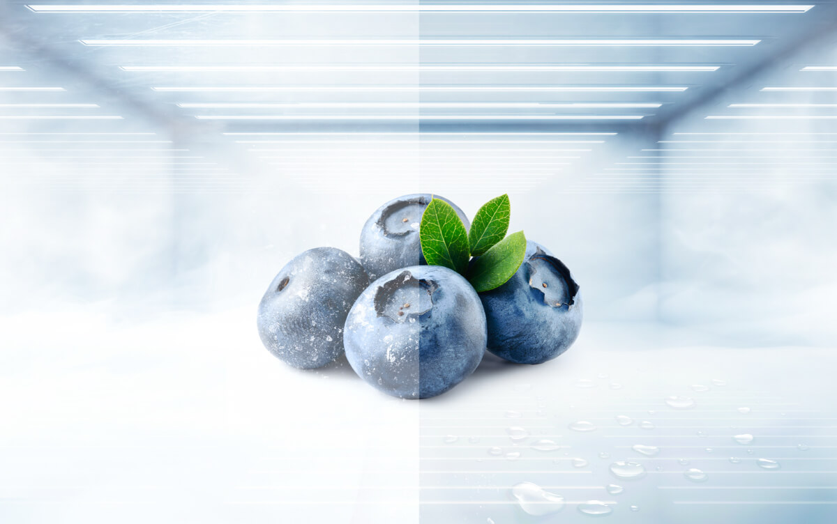 LETOU - ��Ͷ Free Built-in Series Embracing Advanced Cooling and Convenience