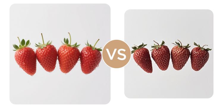 Magnet Fresh 360° VS Conventional Fresh Zone