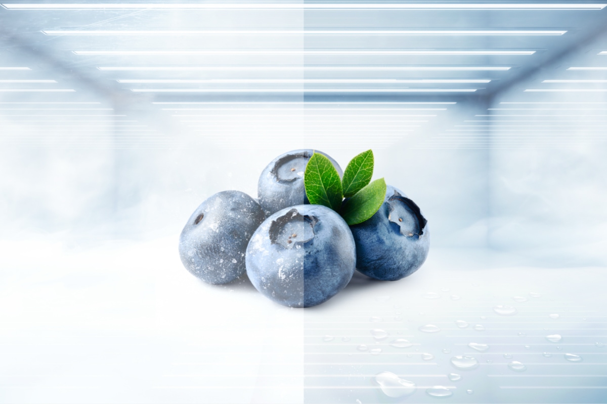 TCL Refrigerator P350BF Embracing Advanced Cooling and Convenience