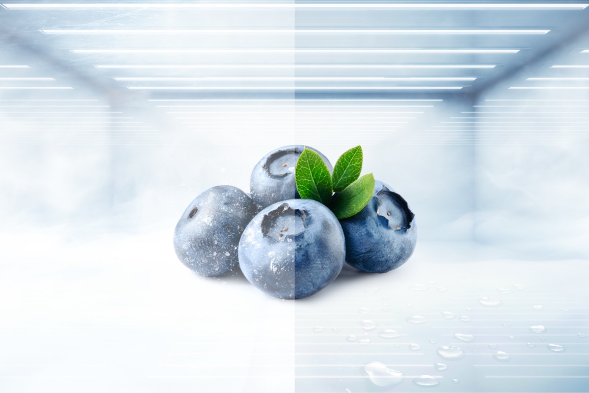 TCL Refrigerator P350BF Embracing Advanced Cooling and Convenience