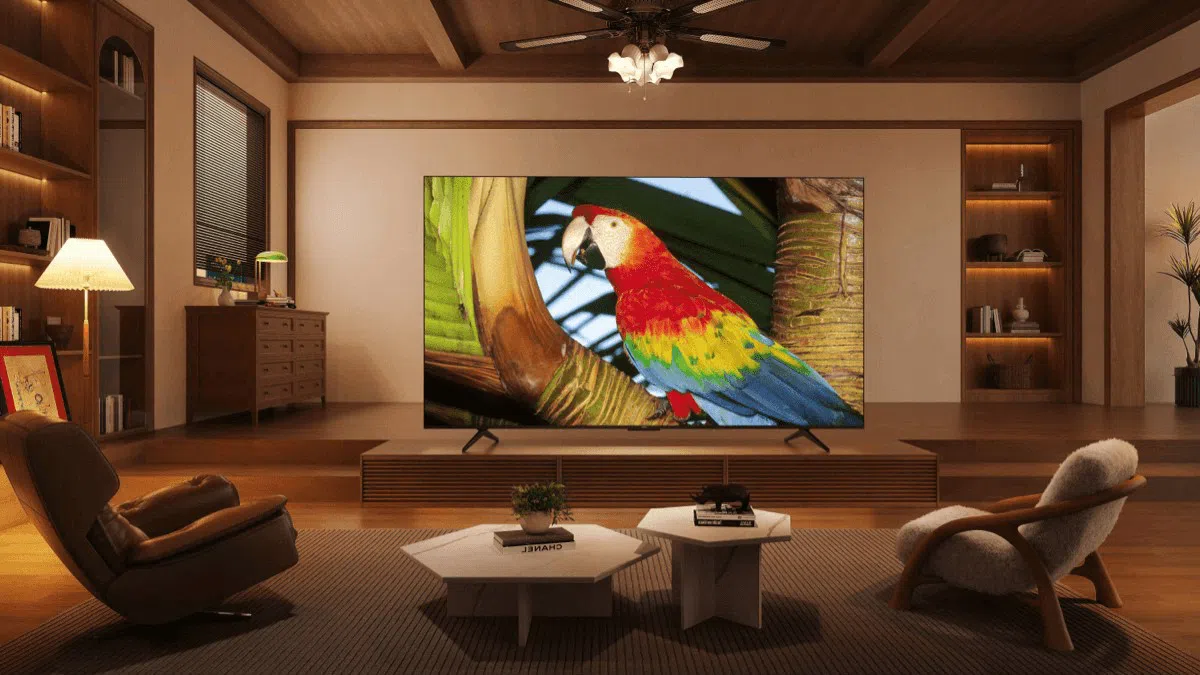 C655 Pro TV  Liftstyle