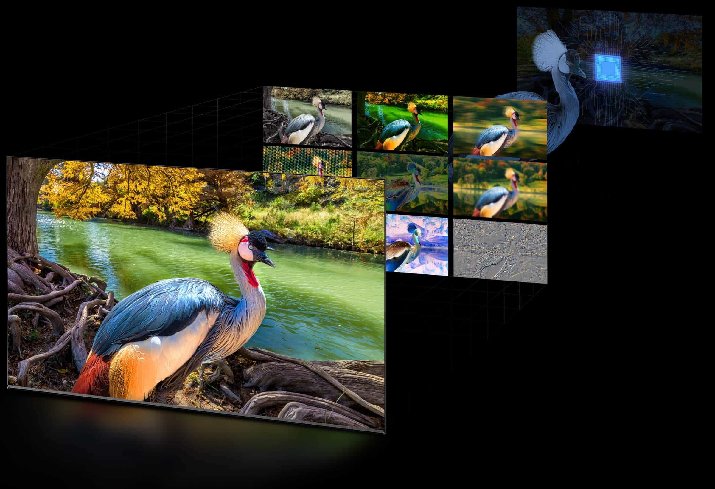 TCL C645-QLED Smart TV-50 до 85 дюймов TV | TCL Россия