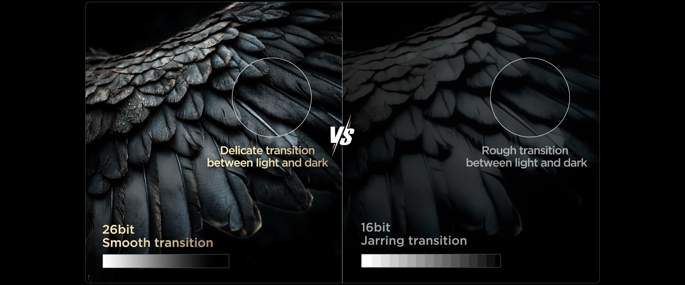 65C8L 4K 65" SQD-Mini LED Google TV C8L 26bit Dynamic Dimming