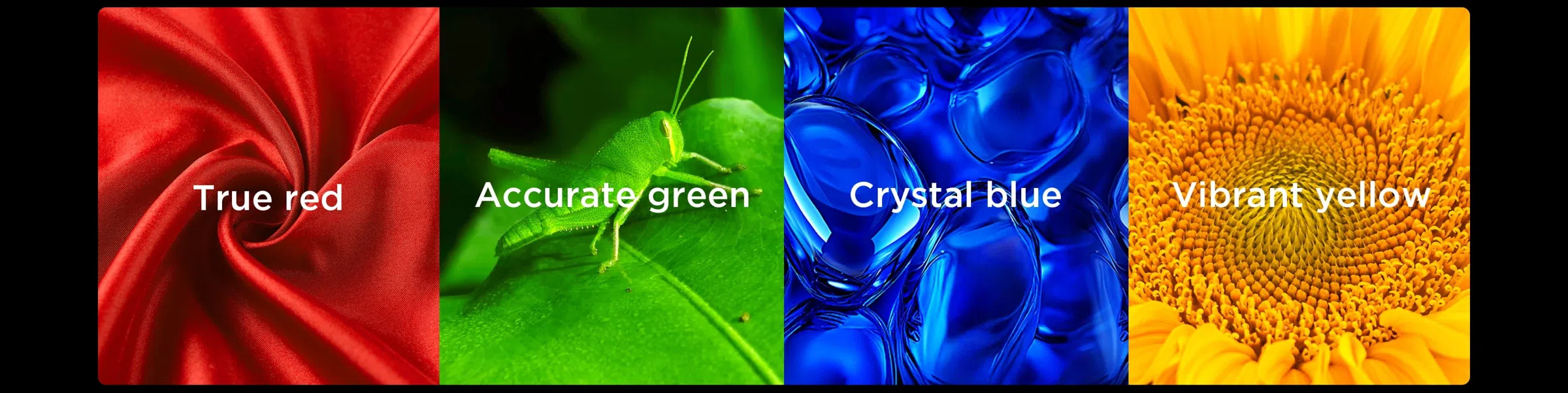 TCL SQD-Mini LED TV All Scenes Wide Color Gamut