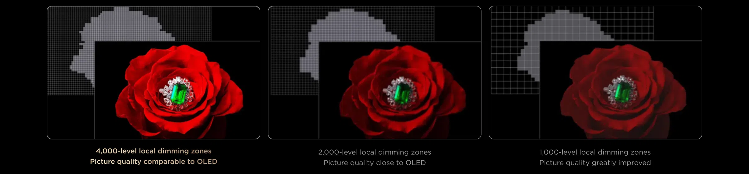 65C8L 4K 65" SQD-Mini LED Google TV SQD-Mini LED - More dimming zones