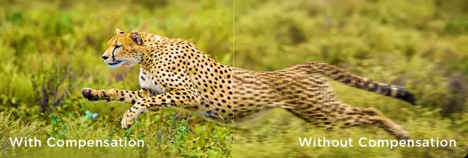 Motion Compensation