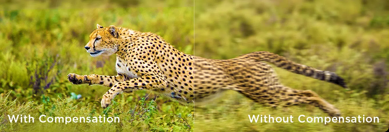 טלוויזיה חכמה P8K QLED מבית TCL