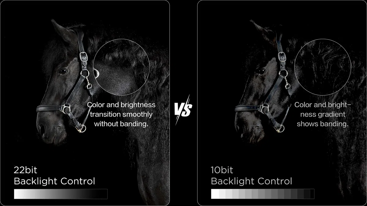 22bit Backlight Control