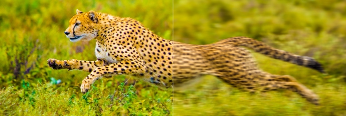 Motion Compensation vs without Compensation