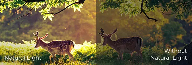 Комплексный уход за глазами-адаптивное освещение