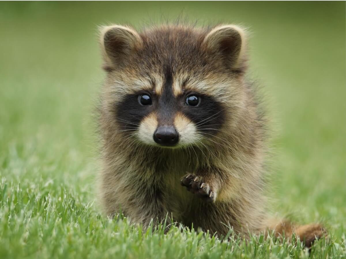 Beautiful in the Background