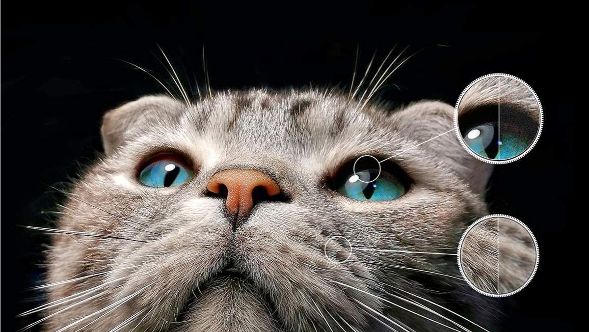 TCL C645 QLED TV Ai-Claridad