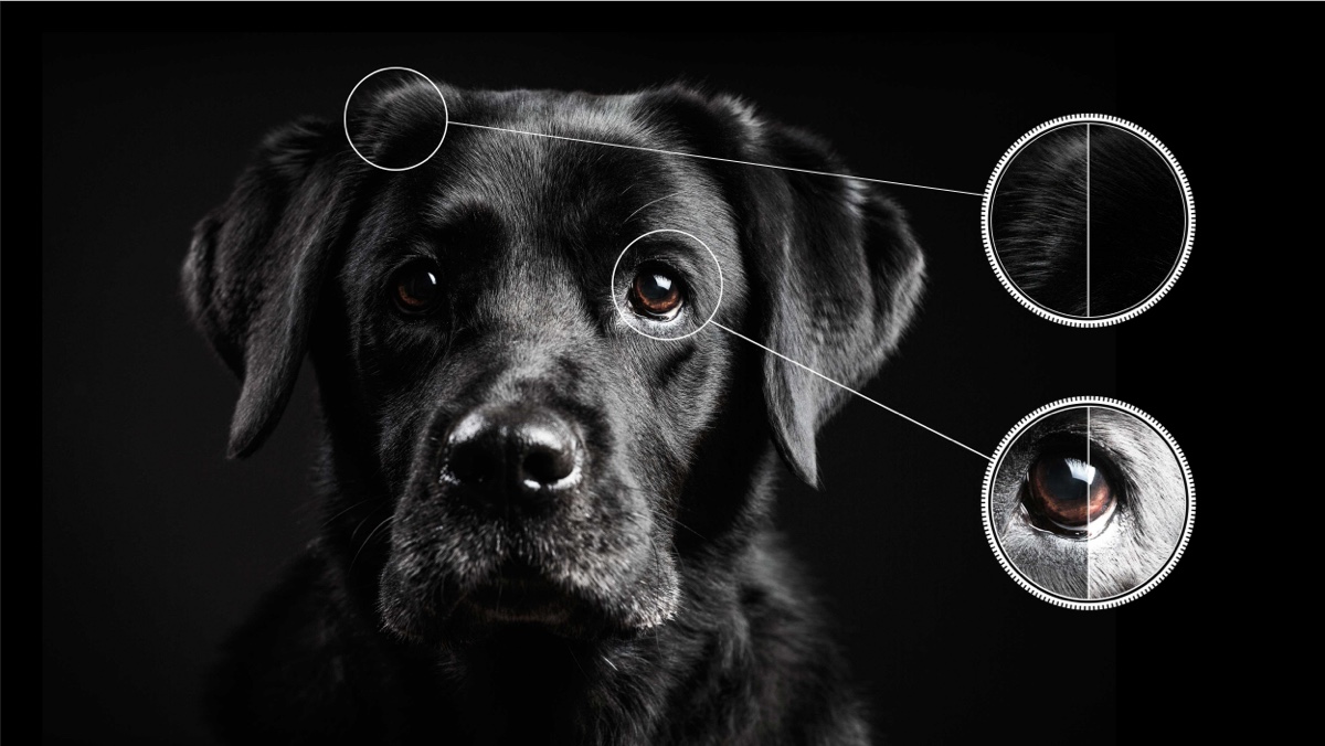 TCL C645 QLED TV Ai-Contraste