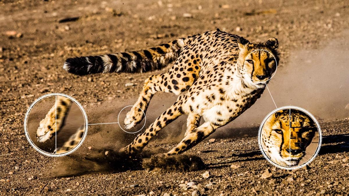 TCL C645 QLED TV Ai-MOTION