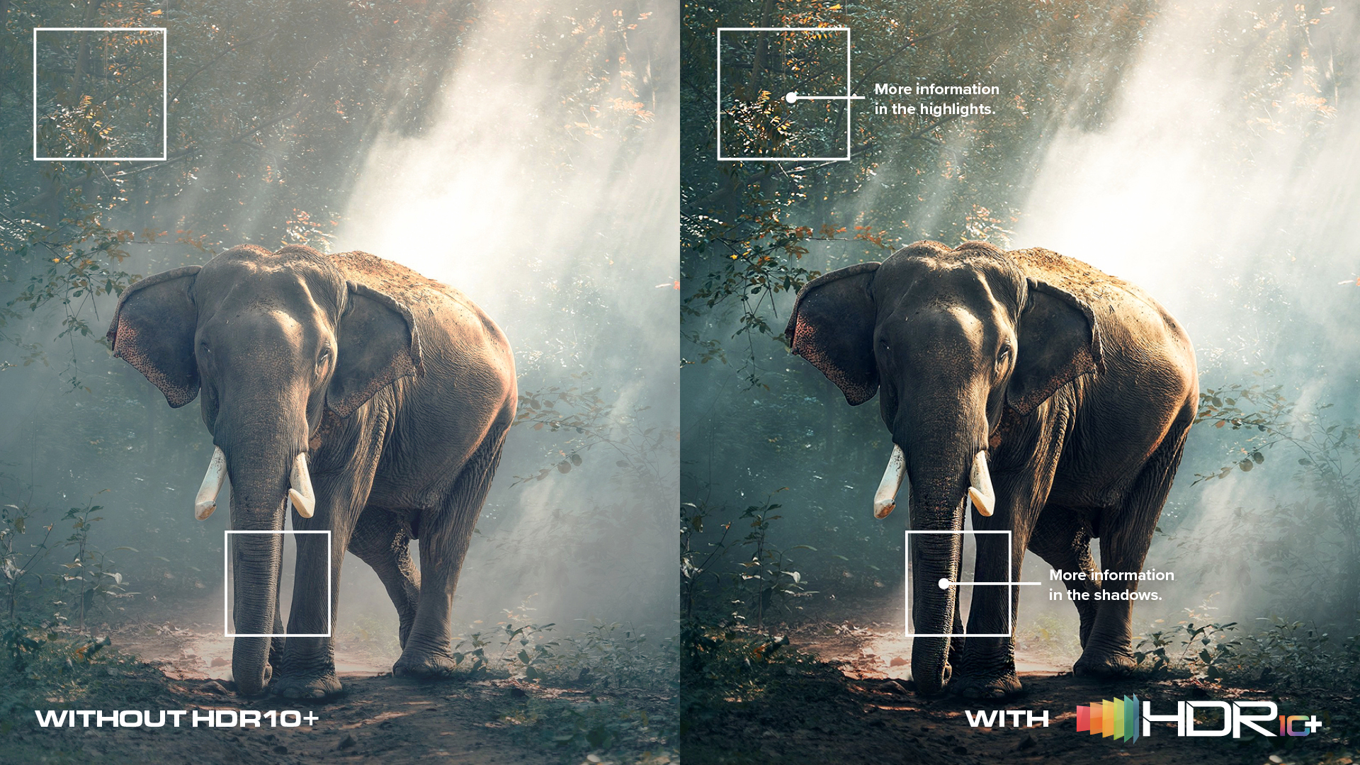 TCL TV P745 HDR10+ Technology