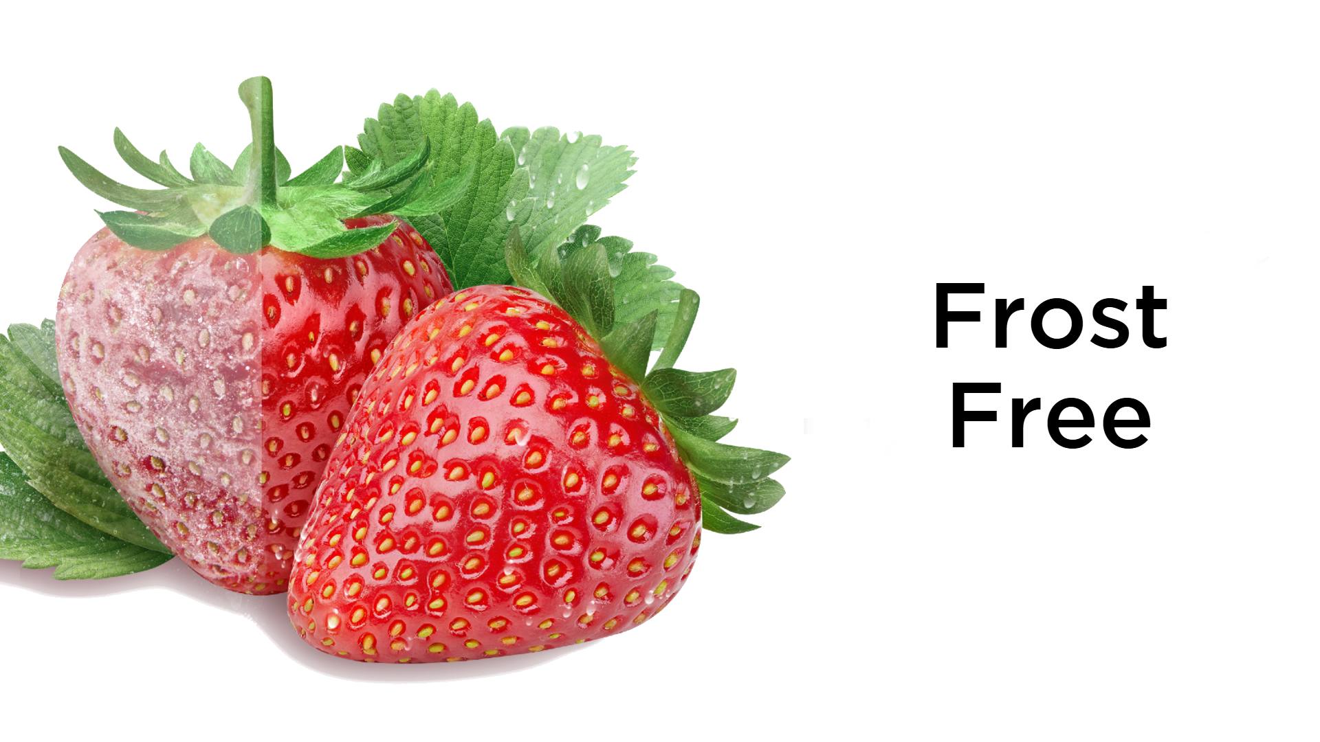 O Que é uma Geladeira Frost Free? Benefícios e Funcionalidades