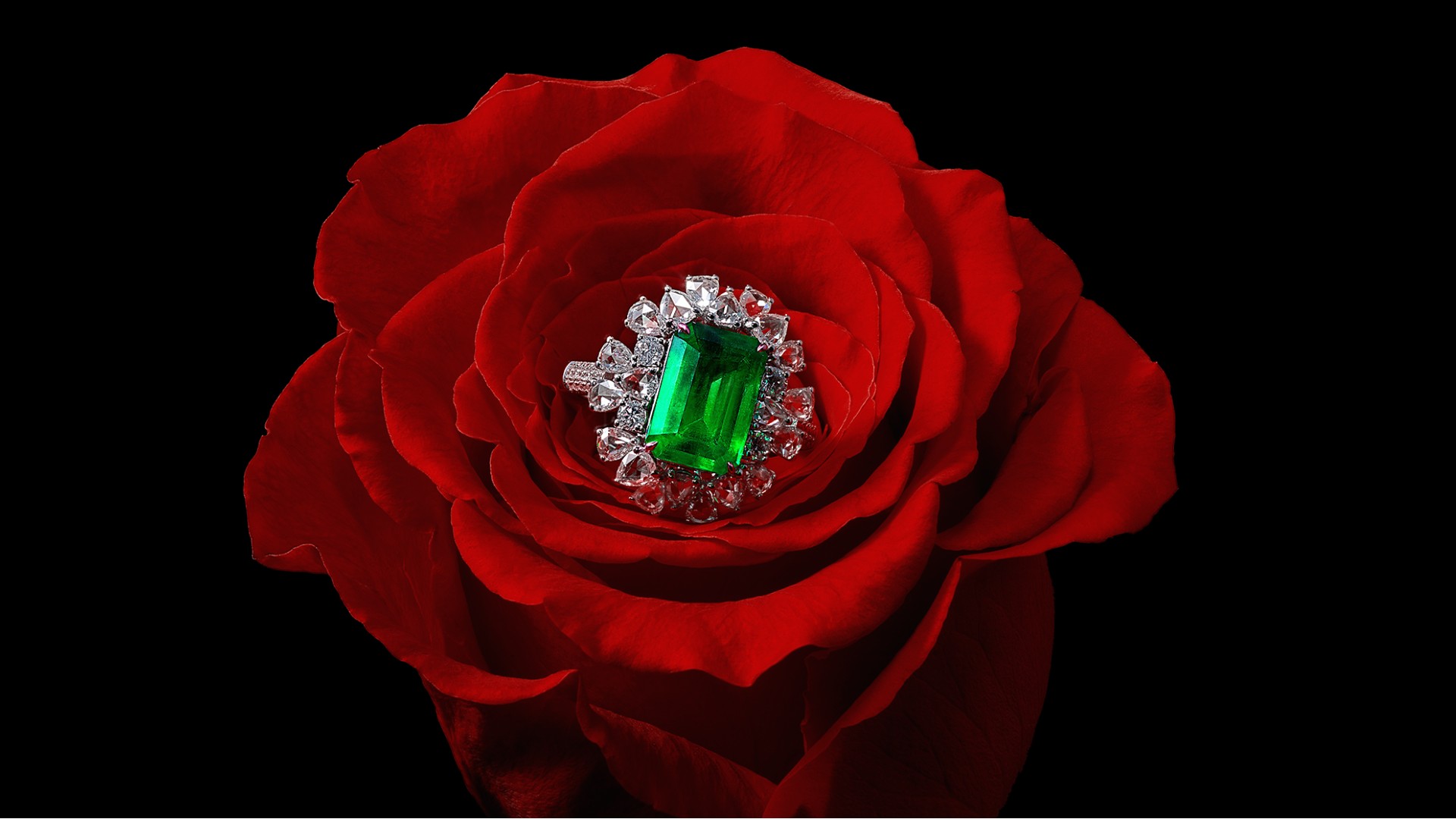 Diferença entre QLED e OLED: um guia completo sobre o assunto!