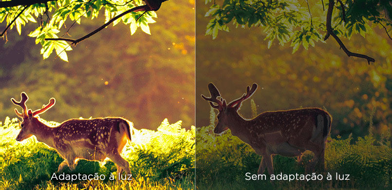 Natural Light vs without Natural Light