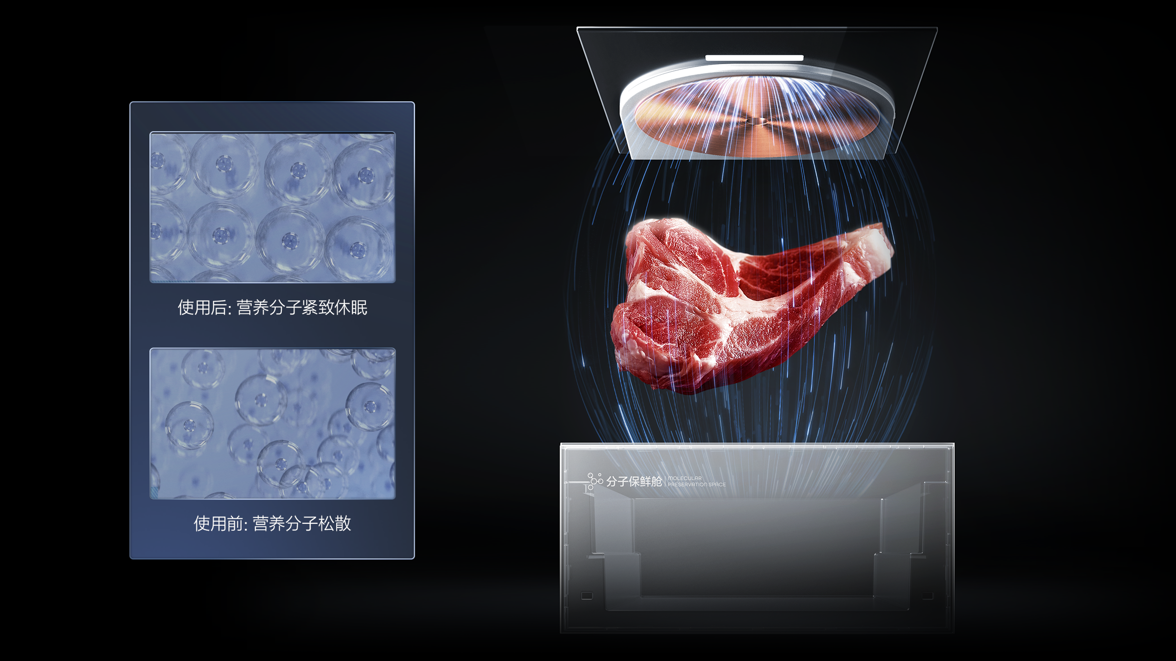 TCL冰箱分子保鲜技术