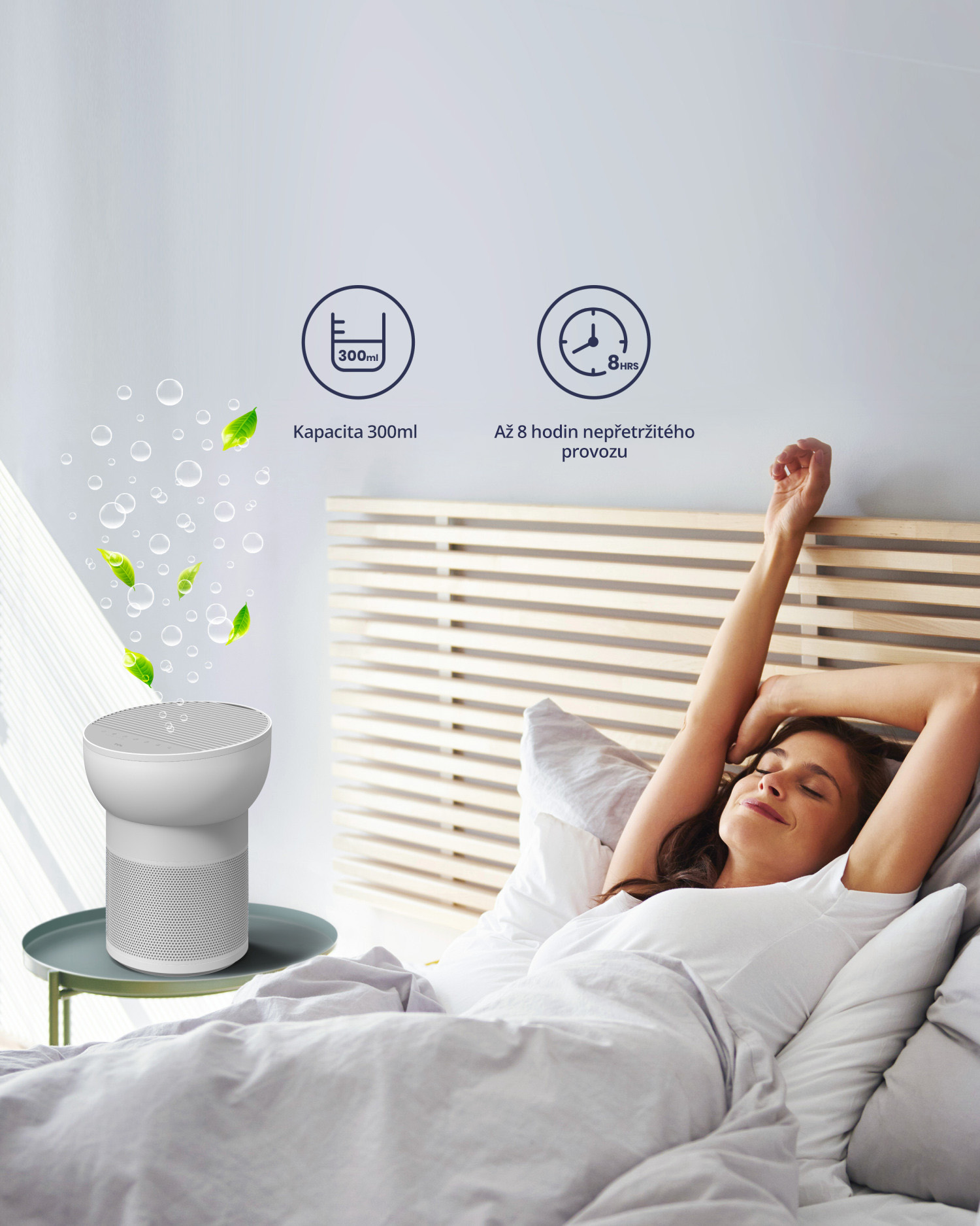 2-in-1: Air Purification and Air Humidification