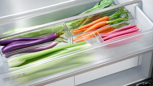 TCL RC521CXE0 Fridge for Larger Items