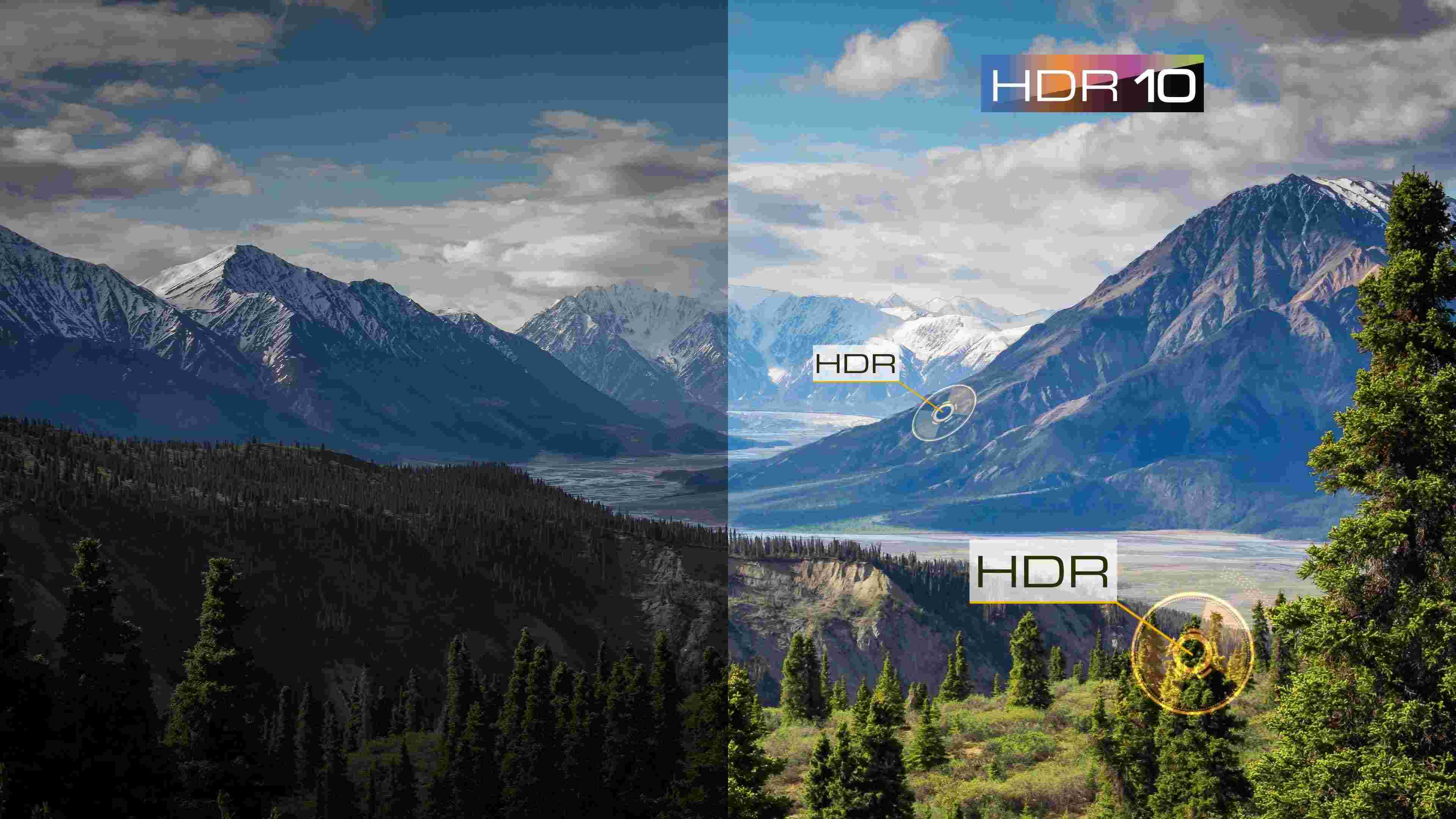 HDR 10