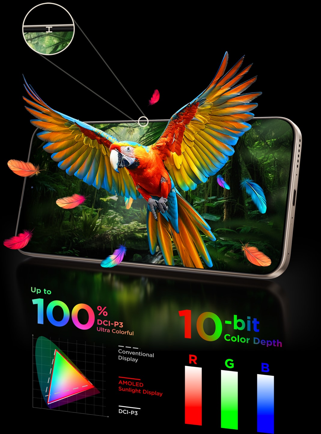 Display Features
