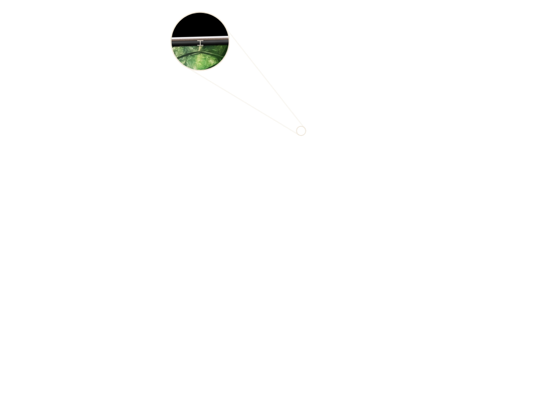 Detail Diagram
