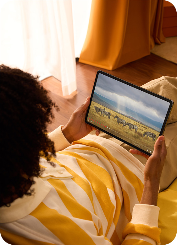 03 3 1.jpg?t=1740556333541&w=379&webp=true&dpr=1