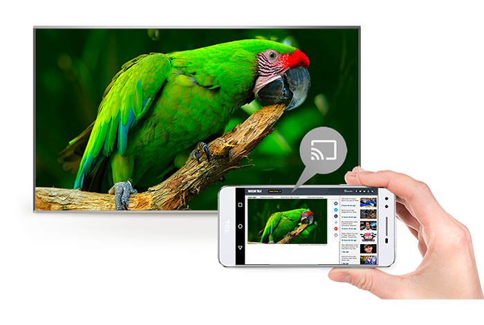 TCL P745 4K液晶テレビ