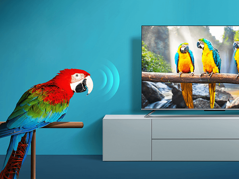 「写真追加」　TCL C845 (55型) TCL、55型約20万の4K/144Hz VRR対応ミニLEDテレビ - AV Watch