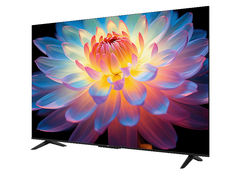 TCL P61K 4K液晶テレビ