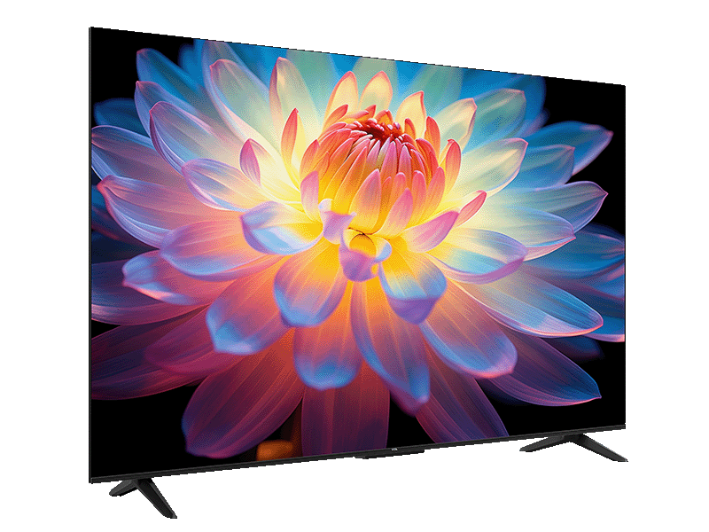 未使用新品　4Kスマート液晶テレビ 65型 4K チューナーレス 液晶テレビ (NGL65U01 ブラック)(リサイクル