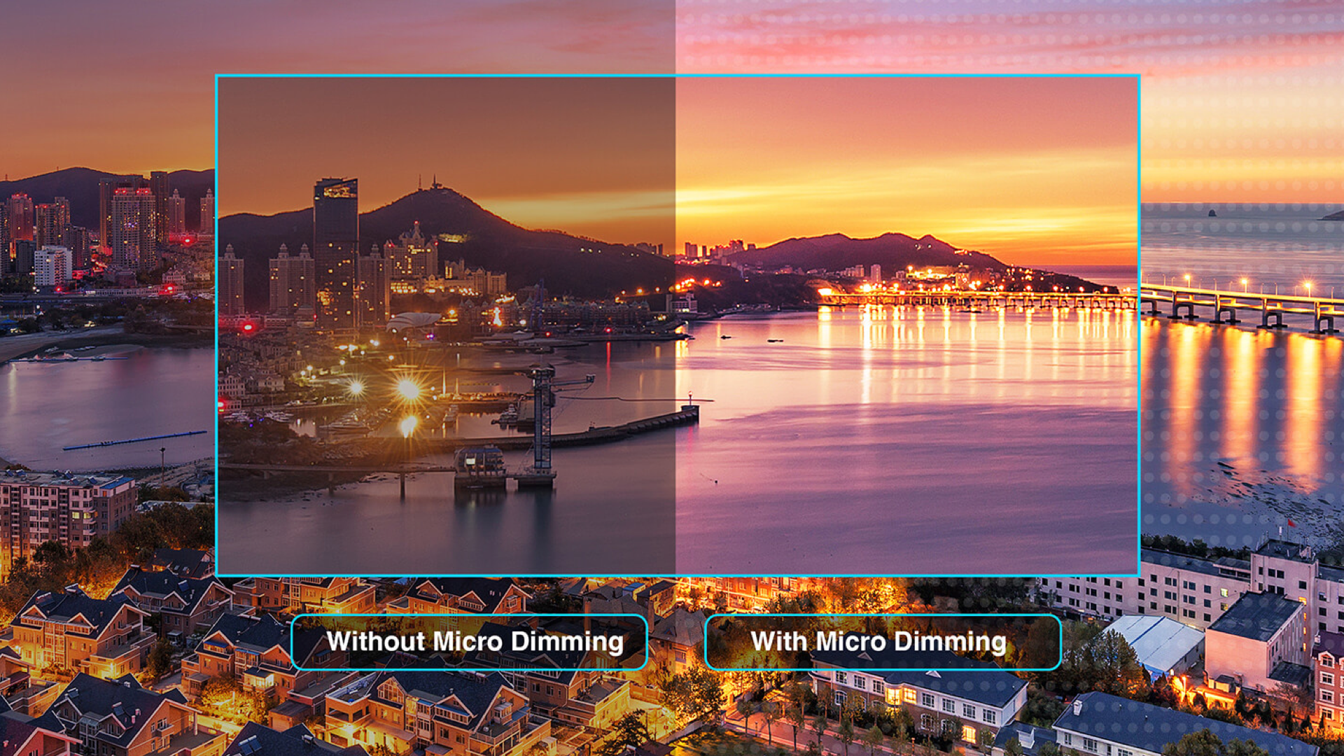 TCL t8s micro dimming