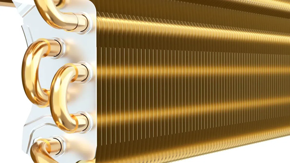 Golden Fin
