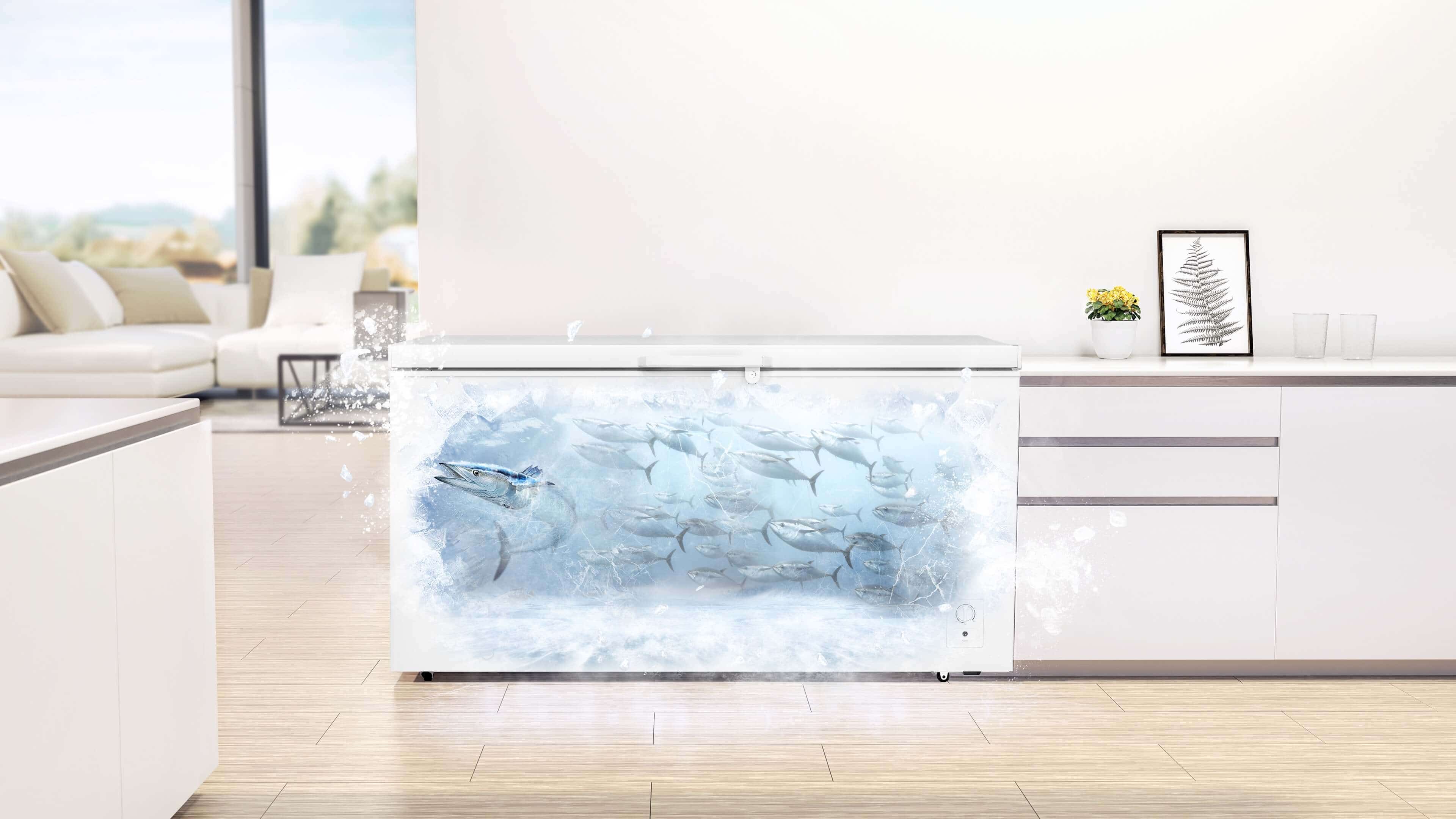 TCL 300 L Chest Freezer TRCF-D438OW1