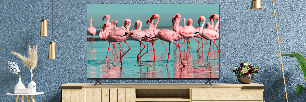 ¿Cómo ver la televisión en directo gratis en Android TV?