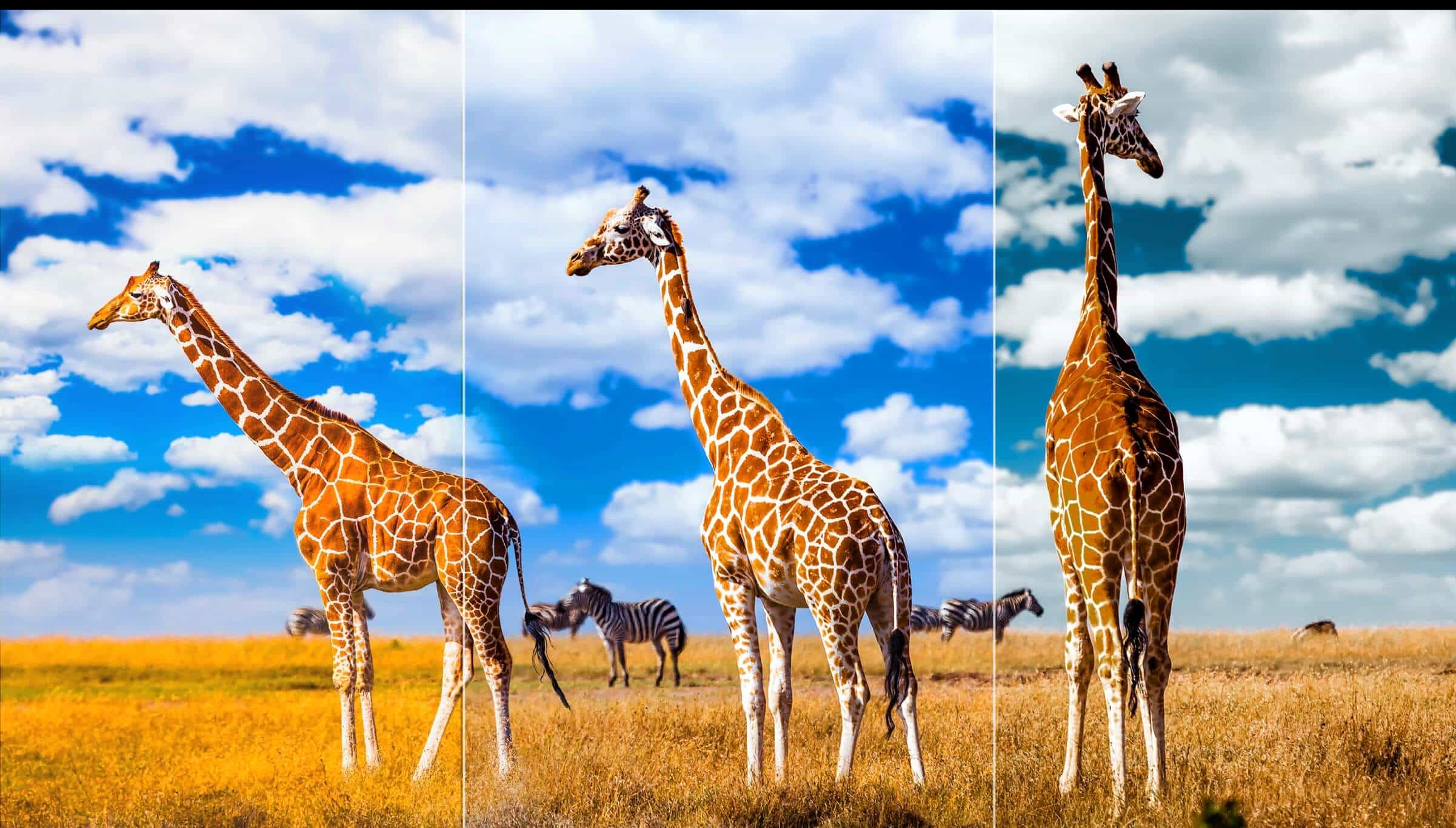 TCL TV QM850G Ai-COLOR