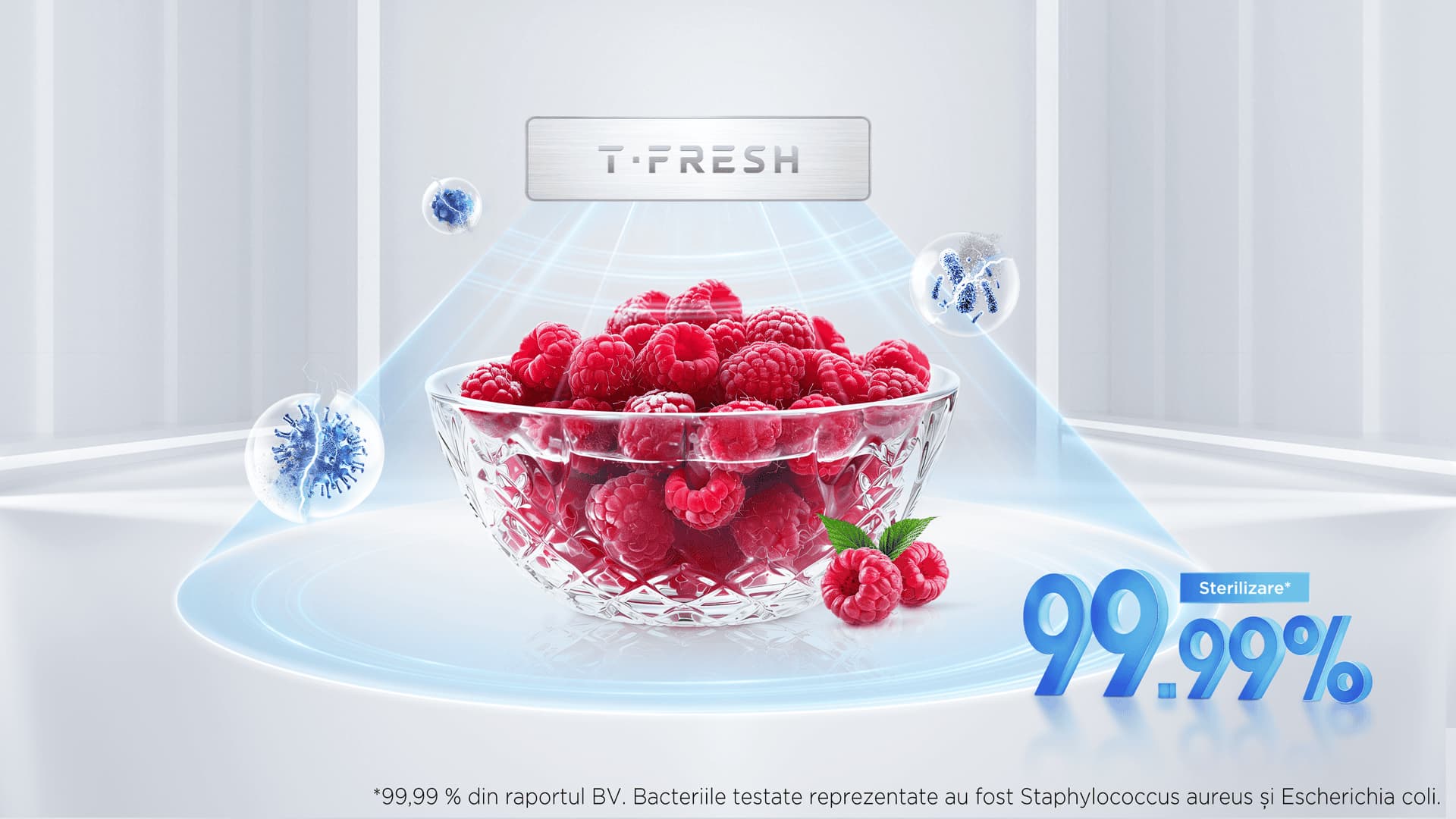 T-Fresh
