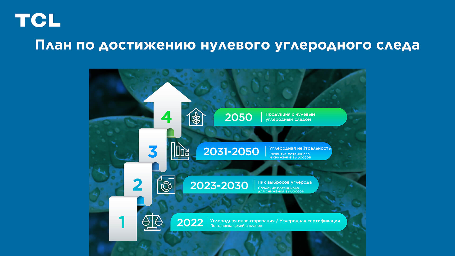 Global Top 1 TV Brand