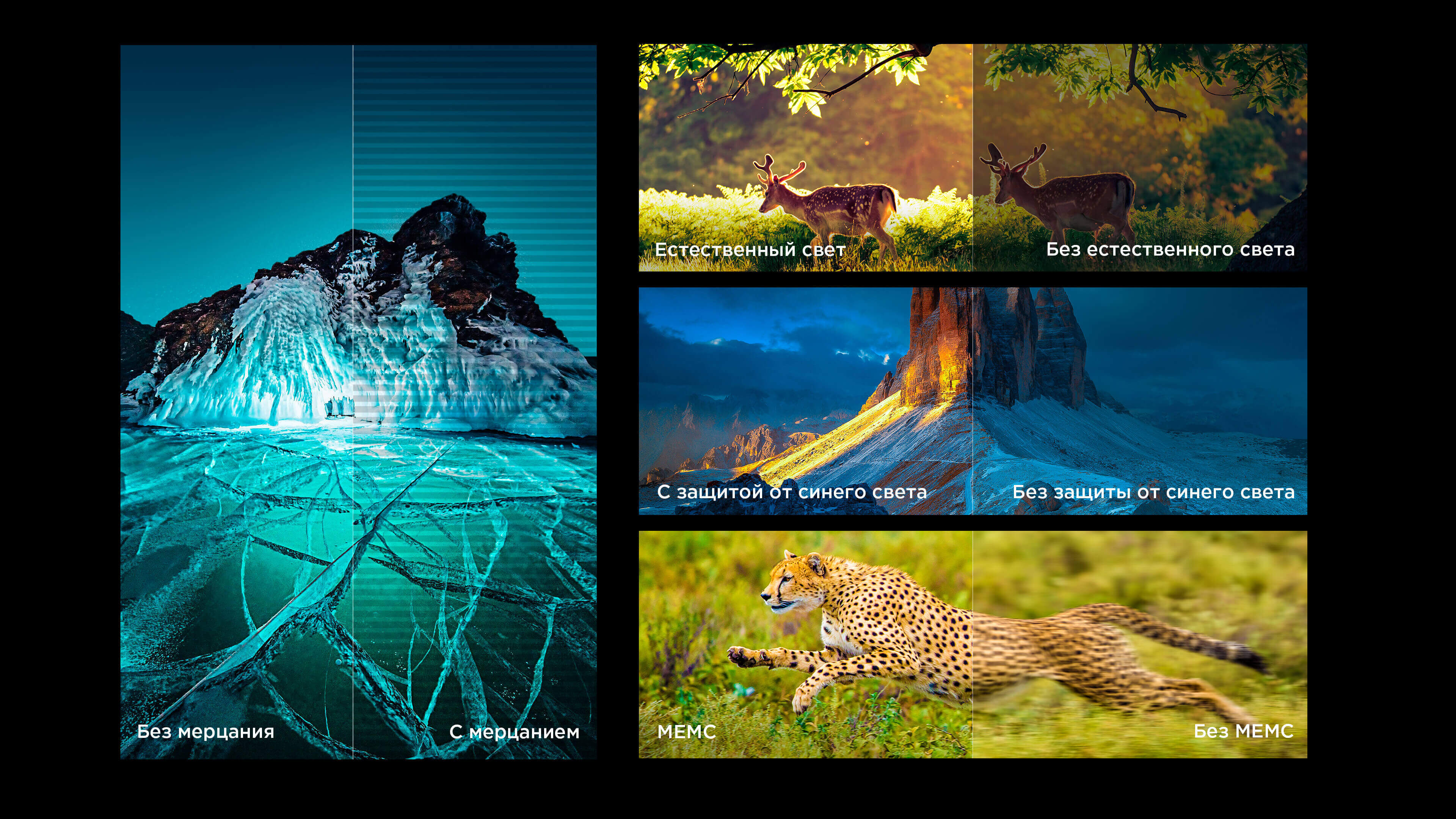 Authoritative picture quality certification