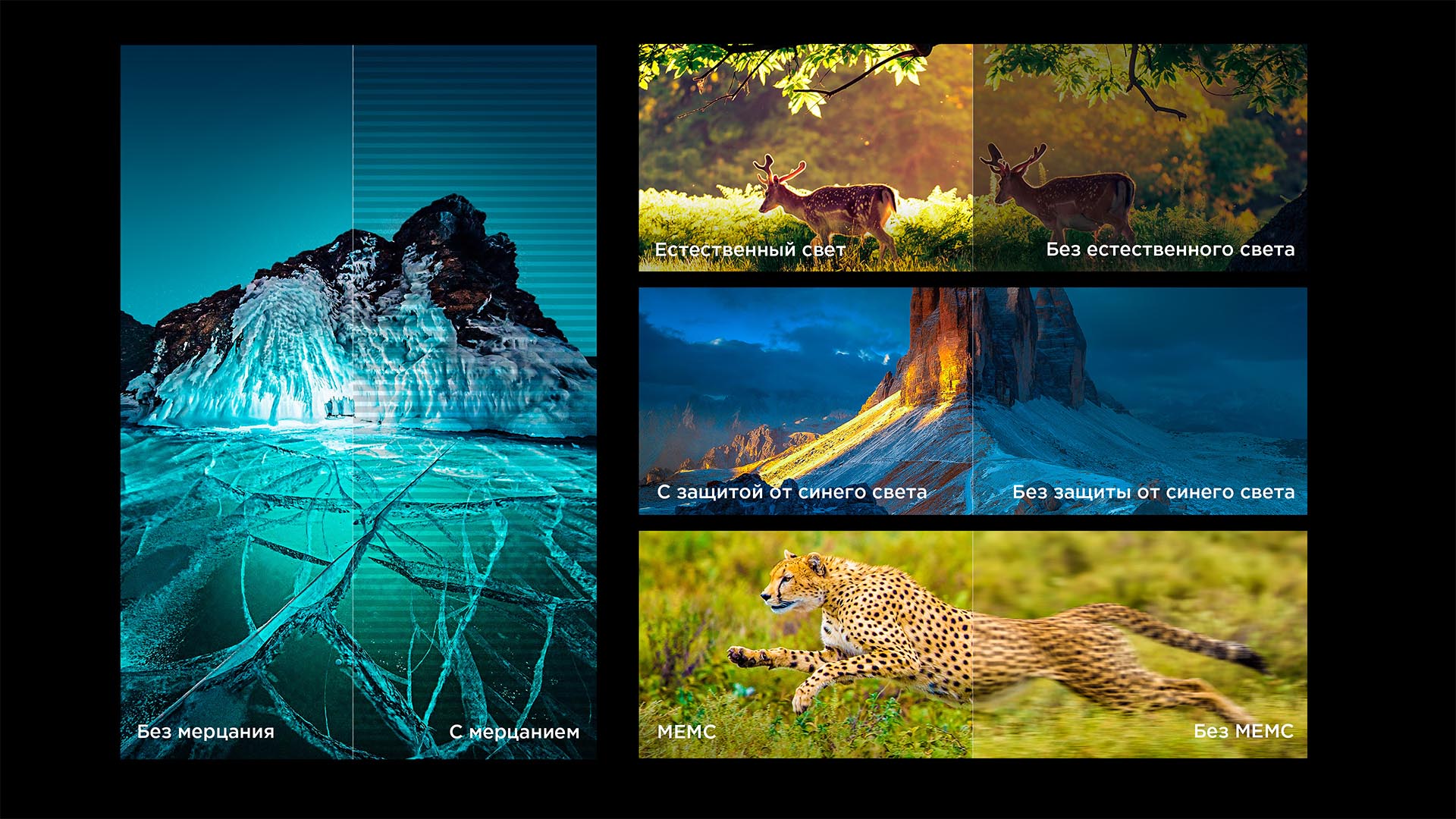 Authoritative picture quality certification