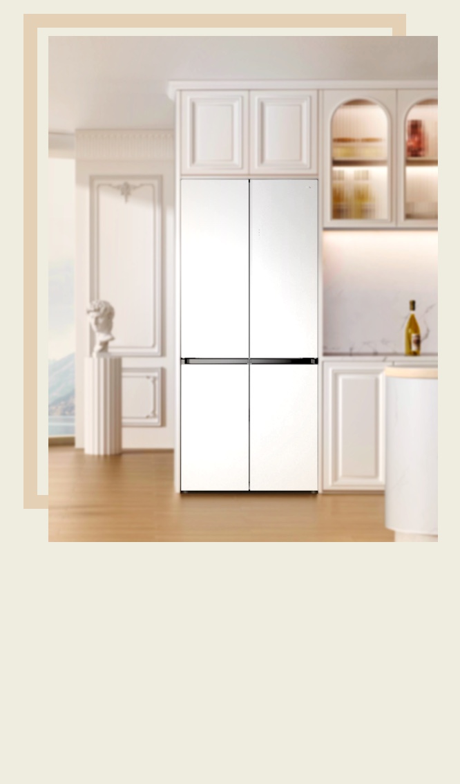 TCL Free Built-in Refrigerator C521CD