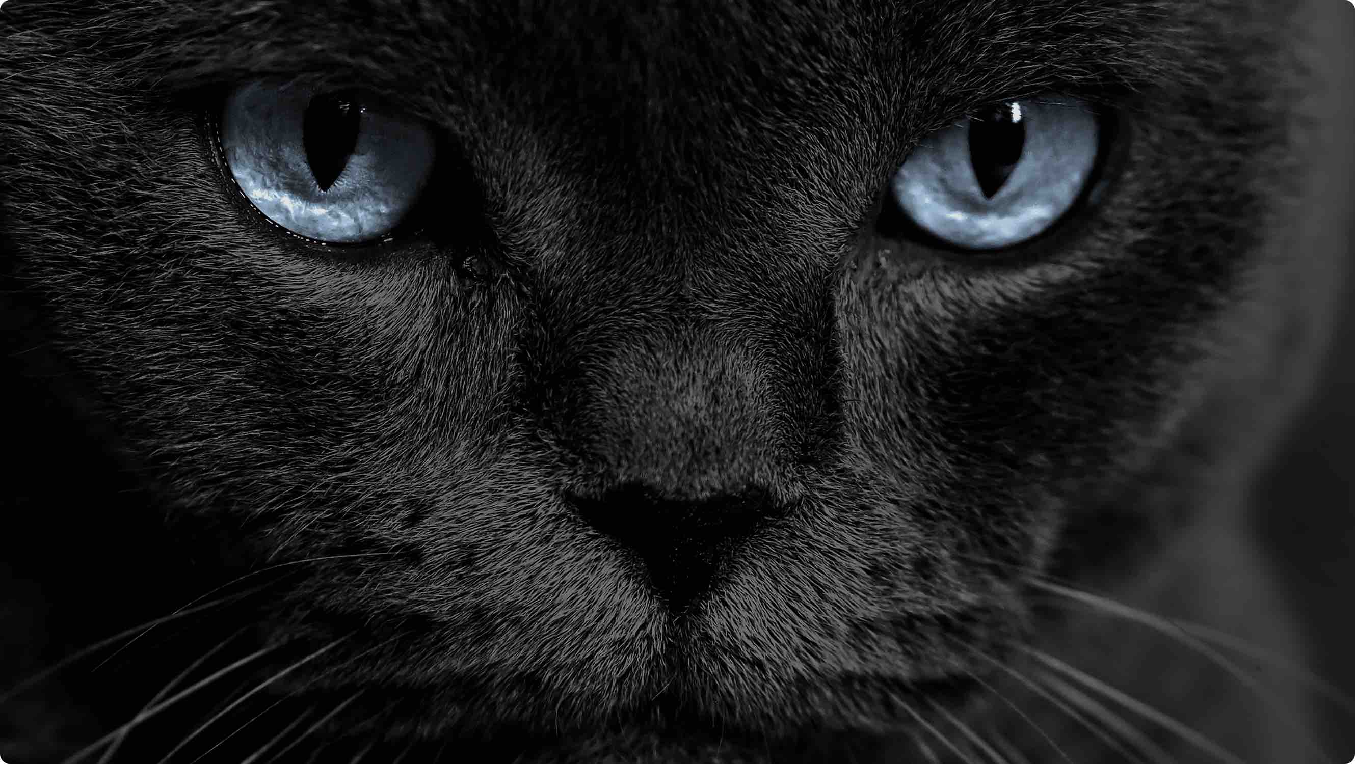 iFFALCON U75 Ai Clarity