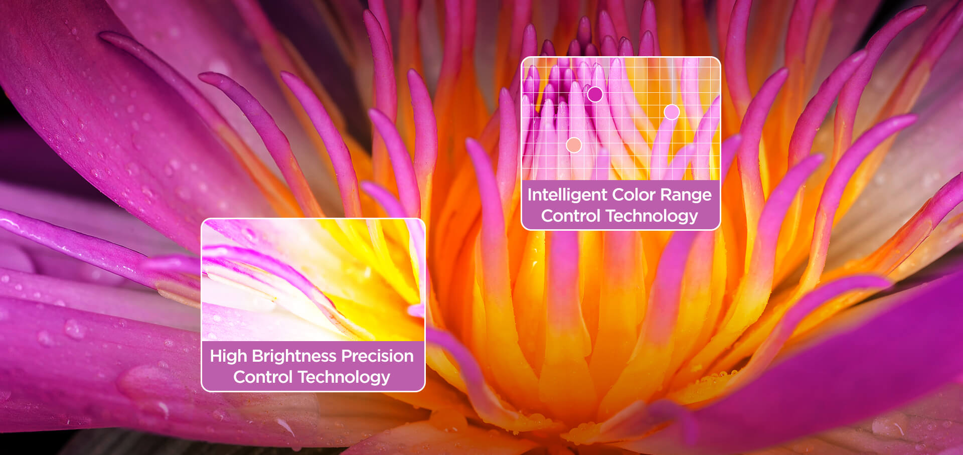 iFFALCON F52 TV IPQ Engine